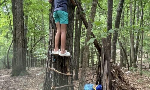 July 21-25: Treemendous Builders Photo Gallery