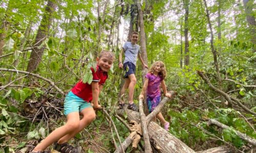 August 18-22: Woodchuck Photo Gallery