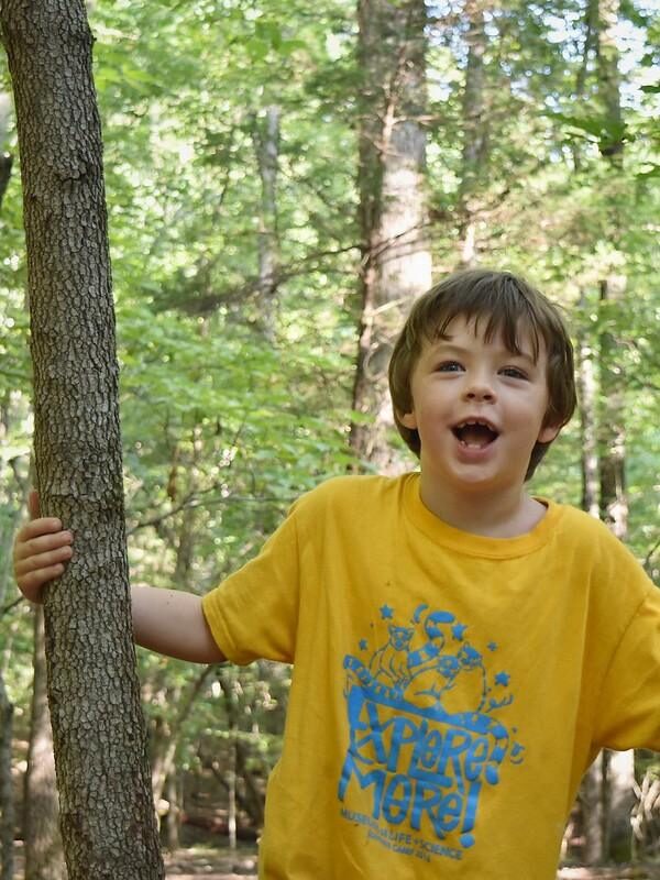 August 10-14: Butterfly