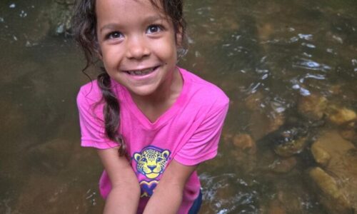 August 11-15: Explore Photo Gallery