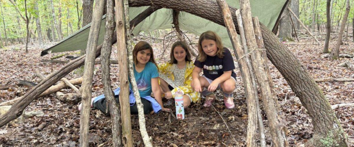 54845082094_e8ccd1a723_o 54845082094_e8ccd1a723_o