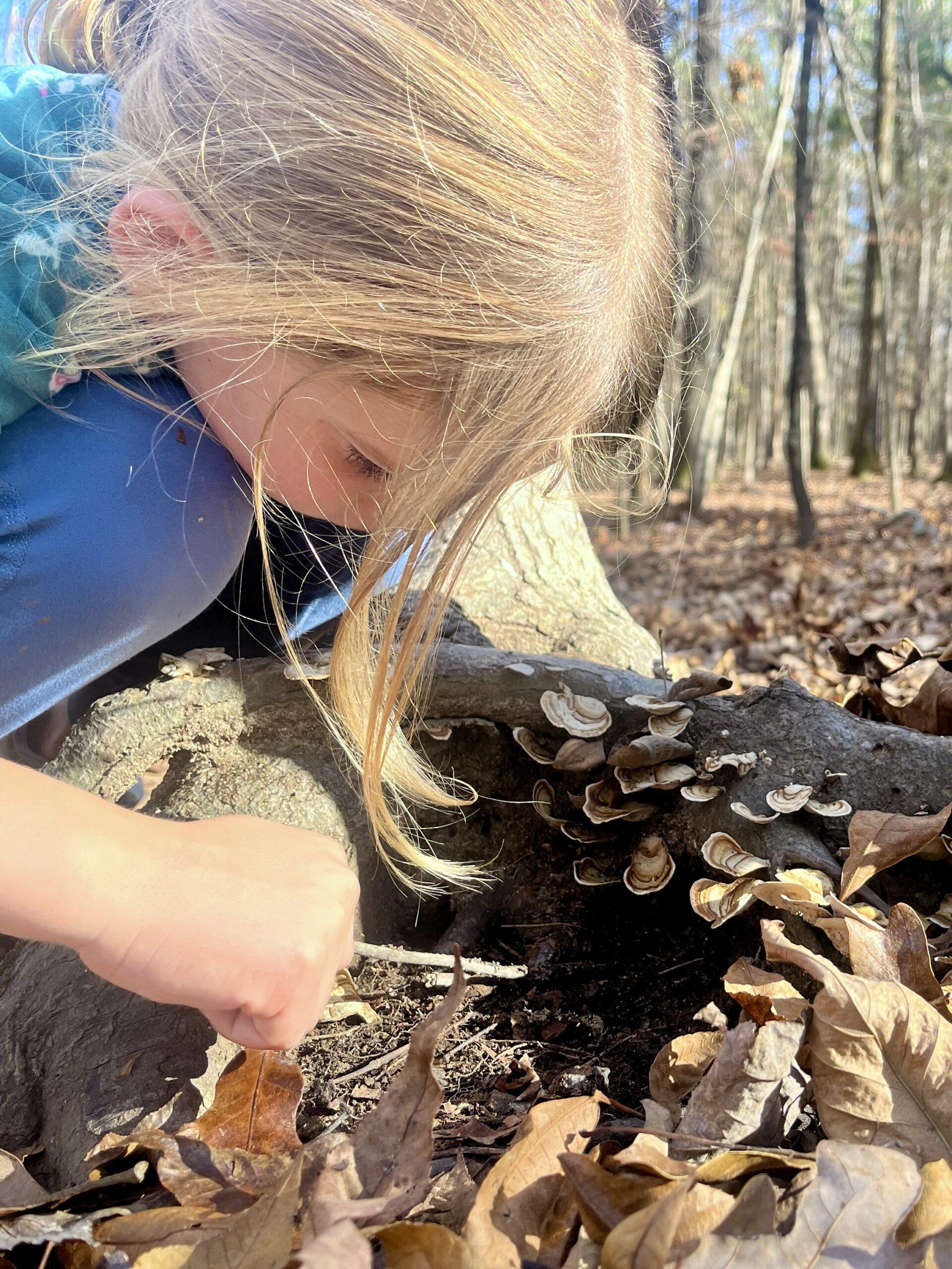 January 19 Discovery Day