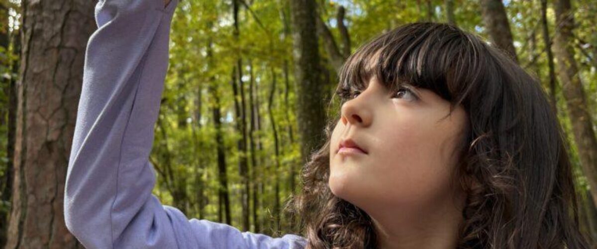 54861337366_946c68b754_k 54861337366_946c68b754_k