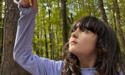 October 13-17: Untamed Creators and Crafters Photo Gallery