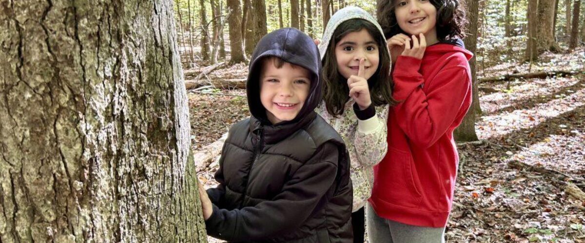 54870150938_6ee395726a_o 54870150938_6ee395726a_o