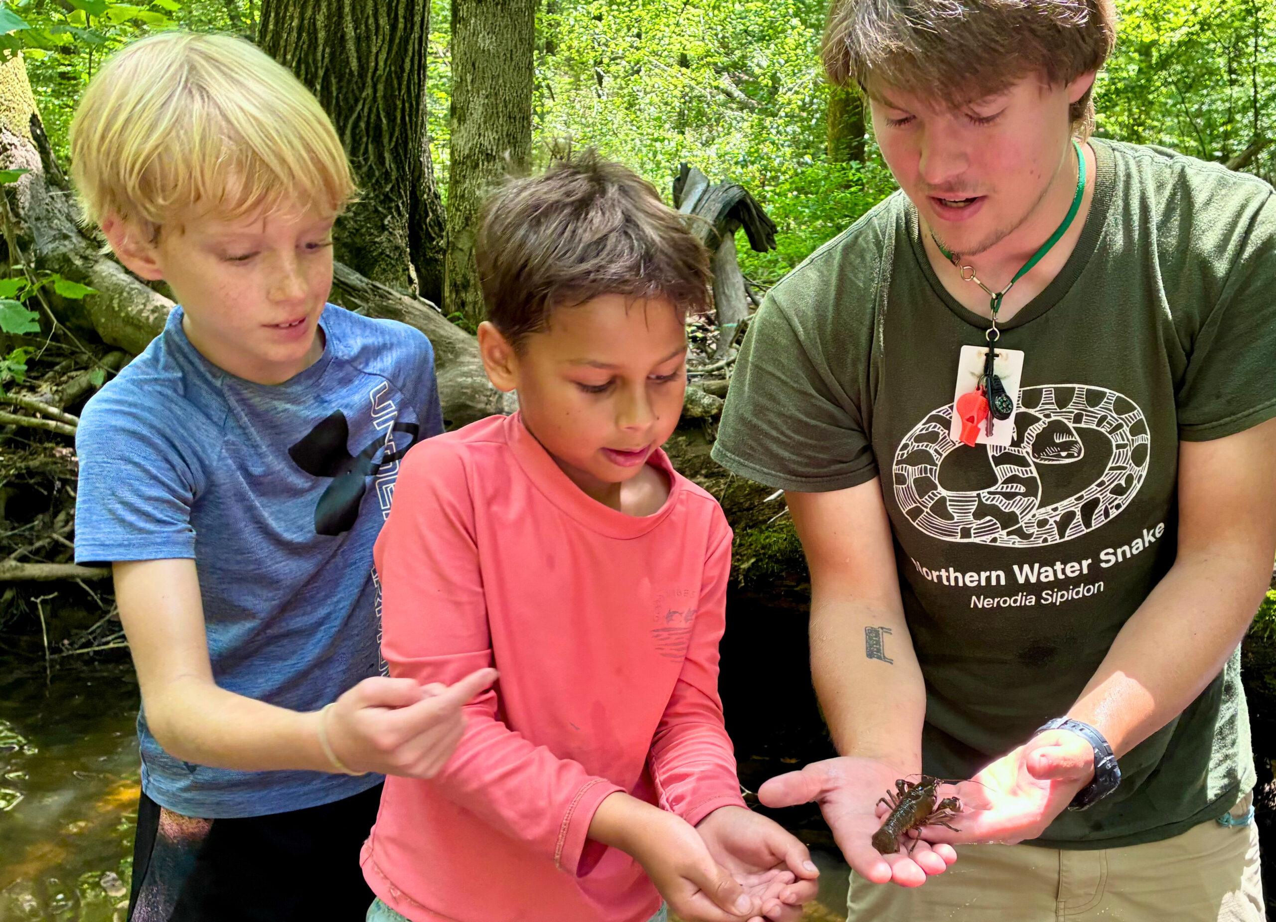 205cdf97-df36-4d60-ad3f-99444204e528