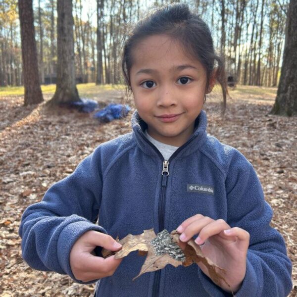 March 9-13: Above & Below: Forest Adventures