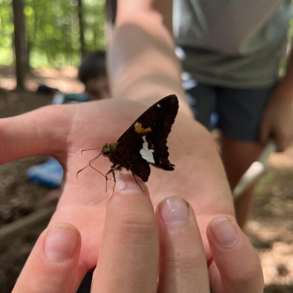 March 30-April 3: Pollination Parade