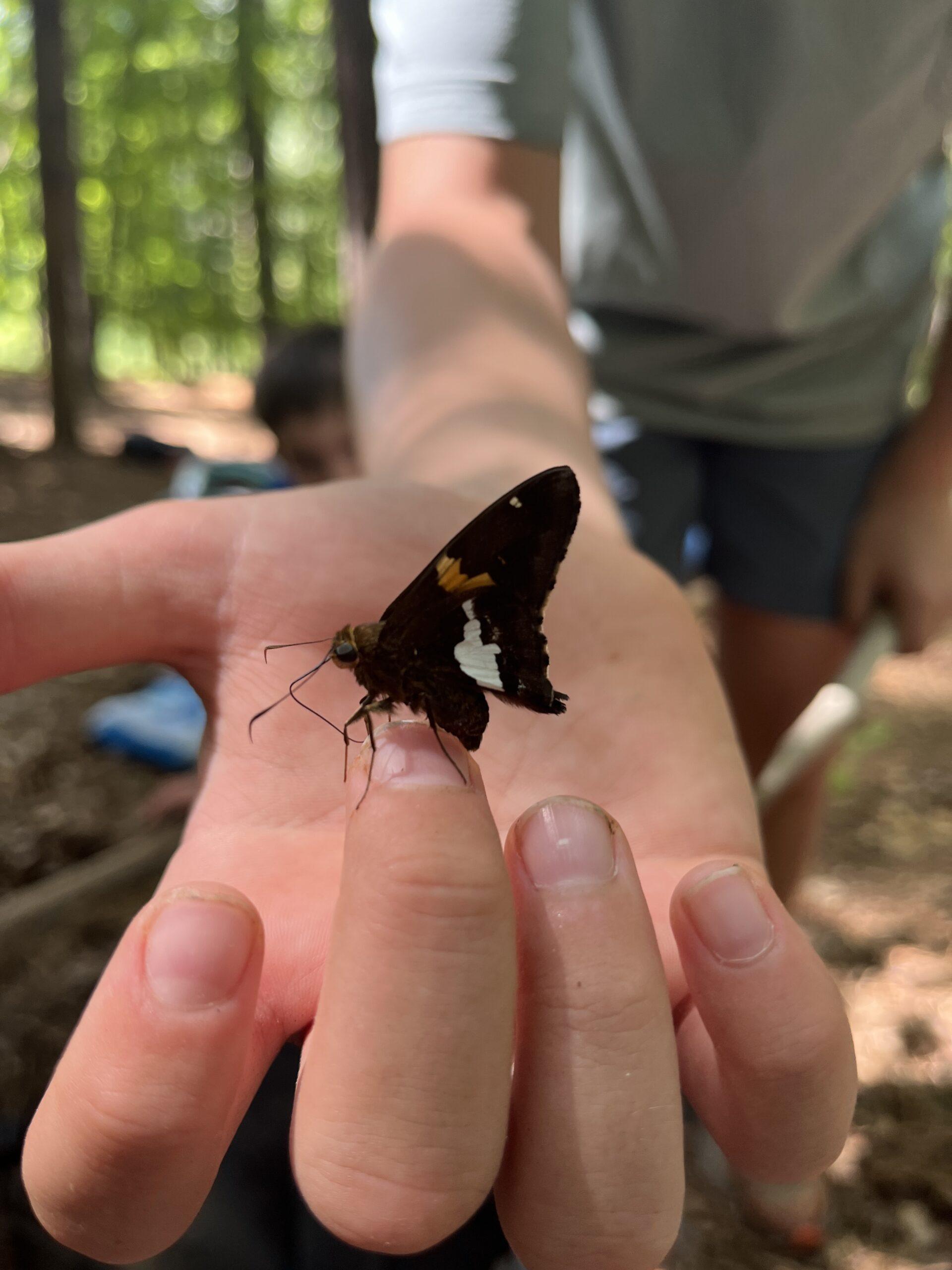 March 30-April 3: Pollination Parade