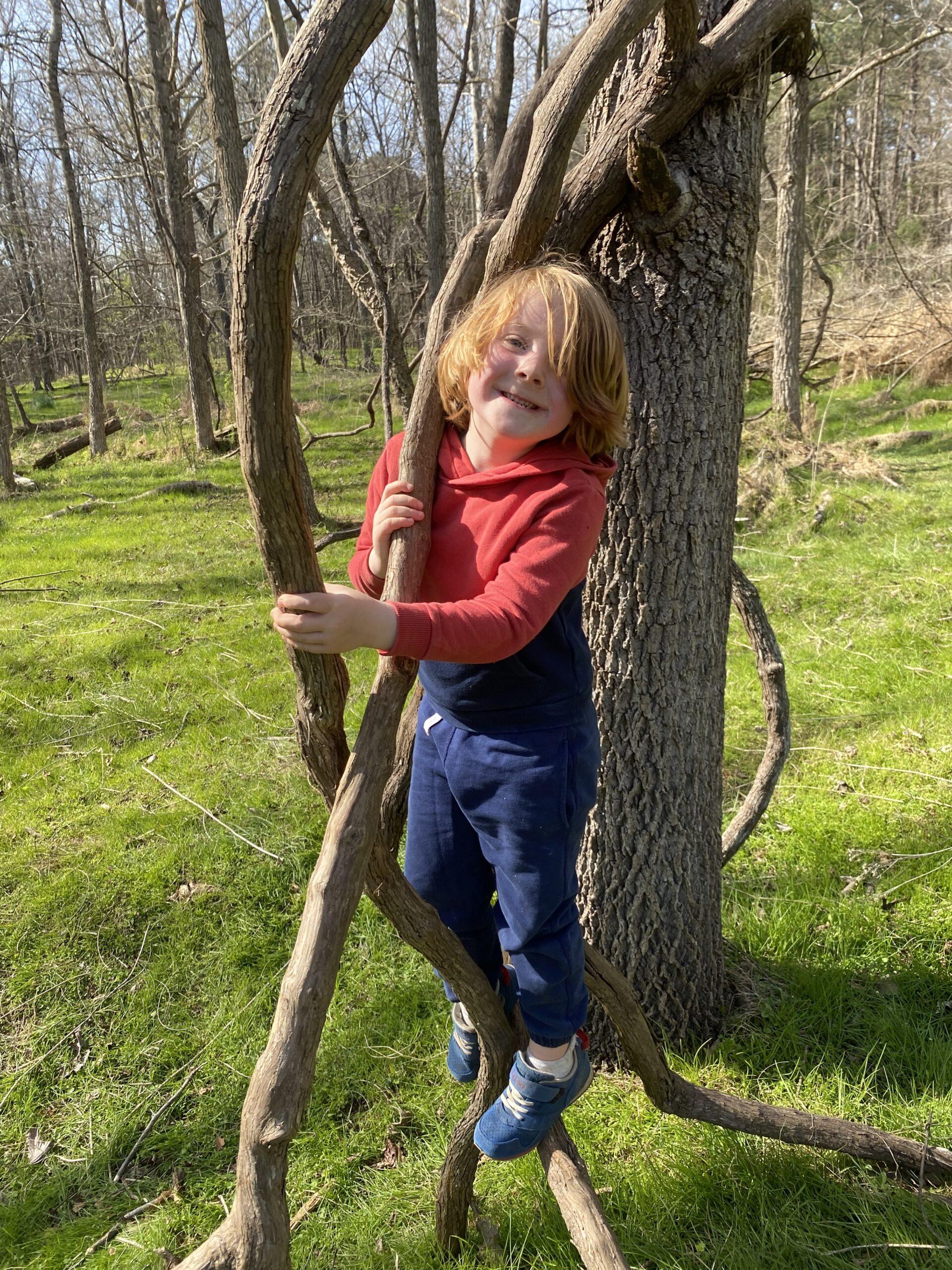 March 3 Discovery Day