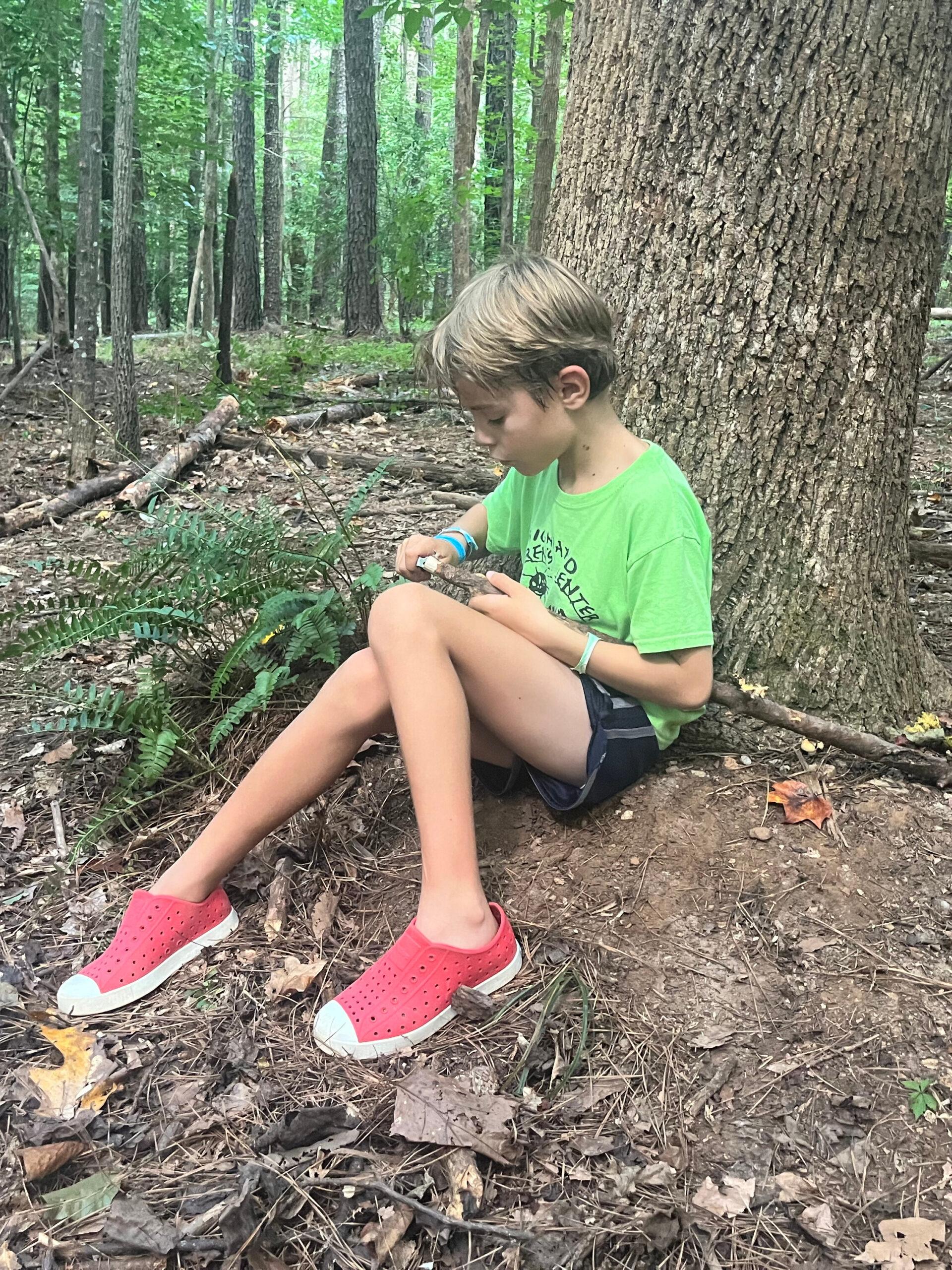 July 6-10: Growth Rings: The Journey Begins