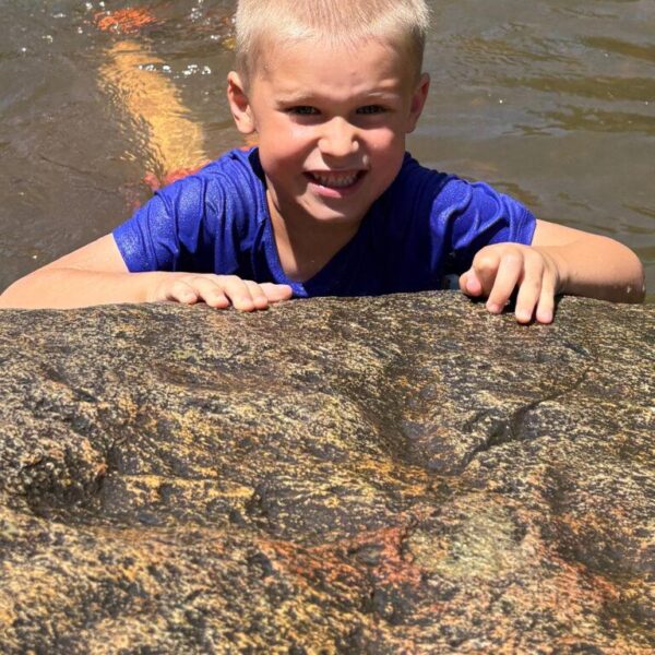 June 29-July 3: Hummingbird