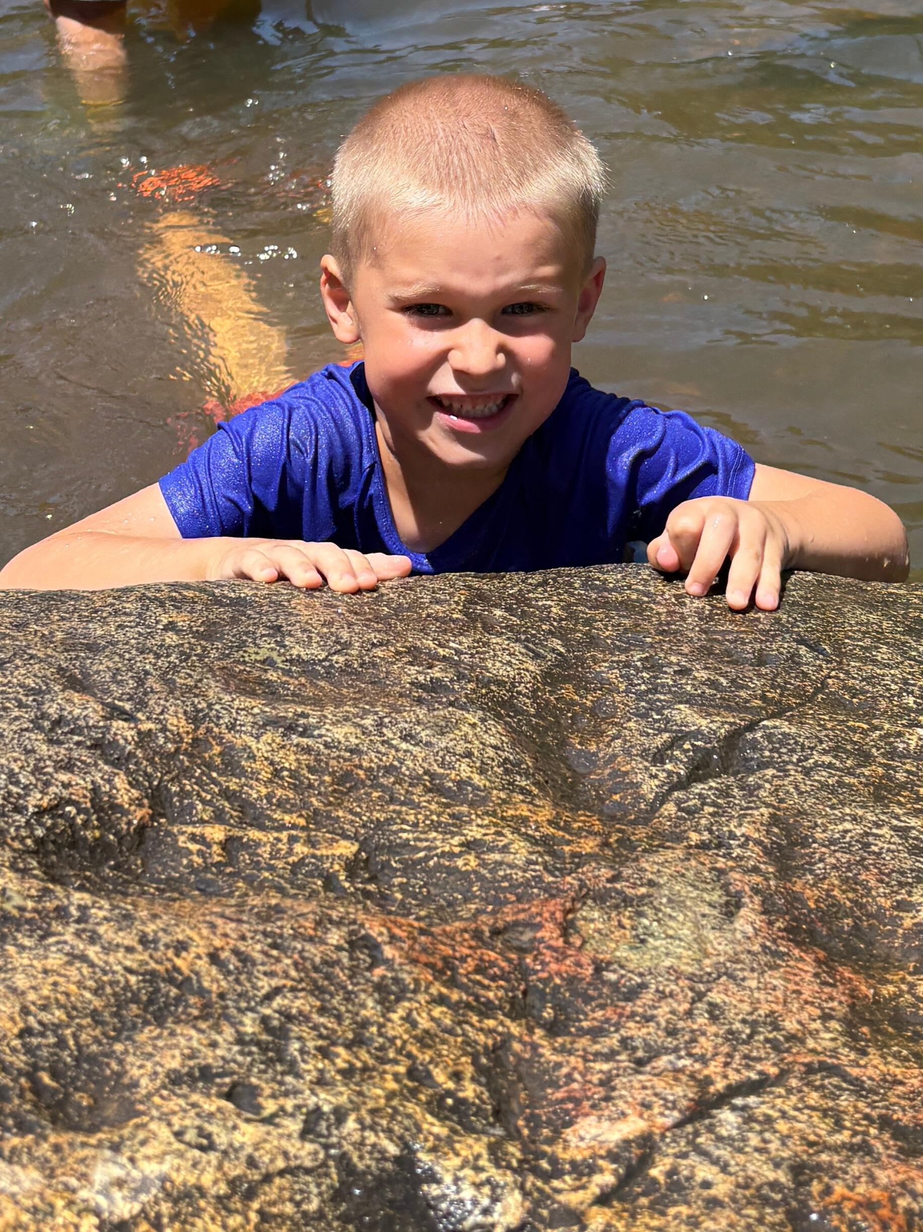 June 29-July 3: Hummingbird