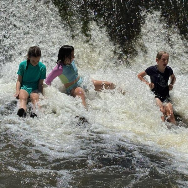 June 29-July 3: Wings & Waves