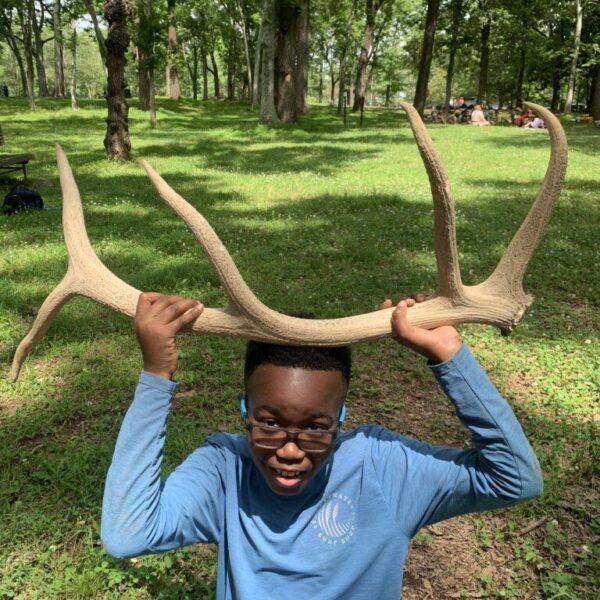 June 15-19: Guardians of the Forest