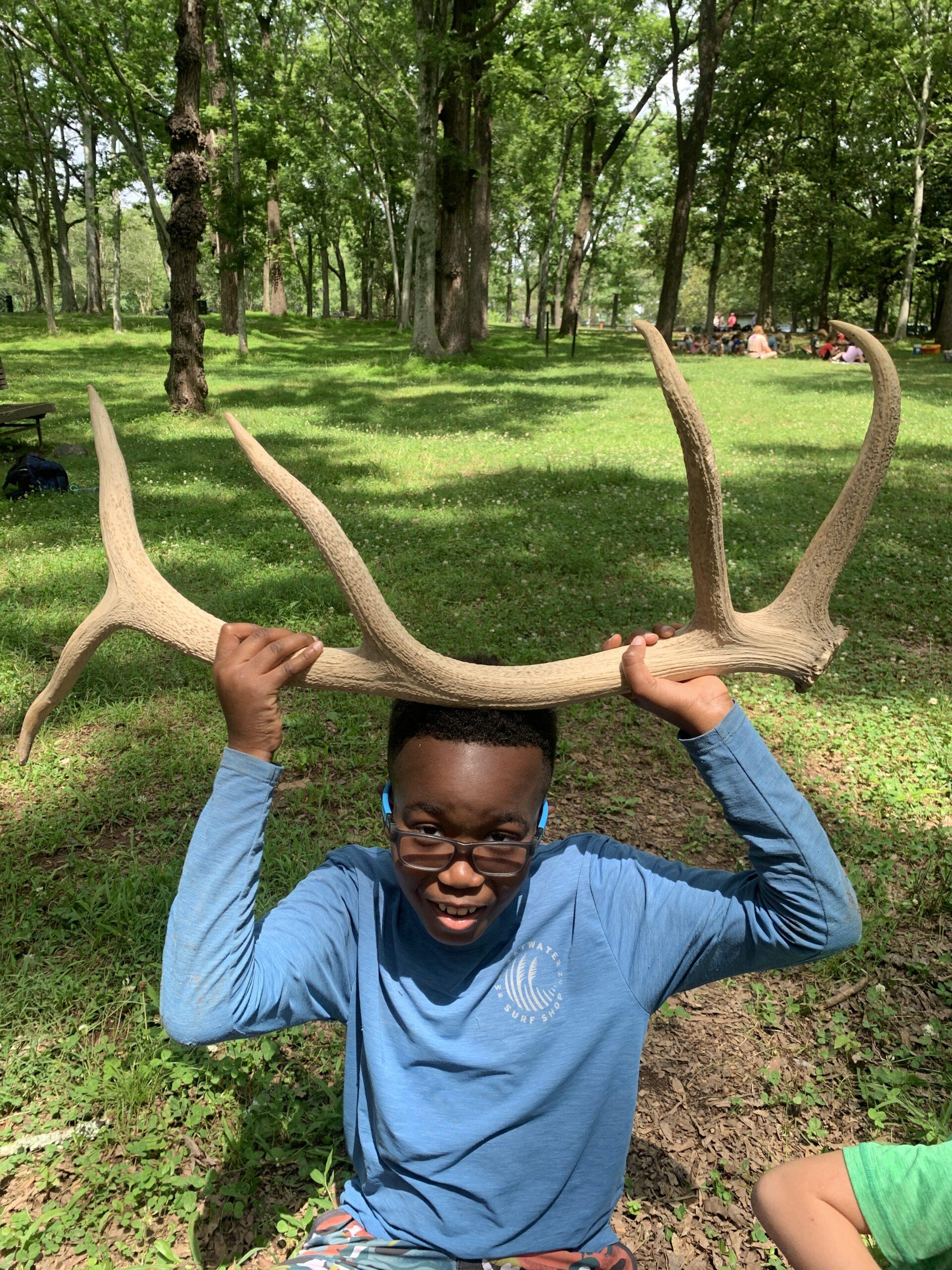 June 15-19: Guardians of the Forest