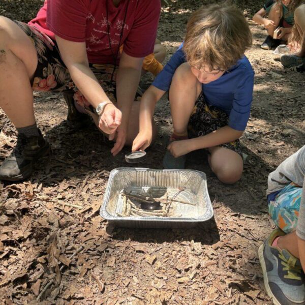 July 6-10: Growth Rings: Learn to Earn