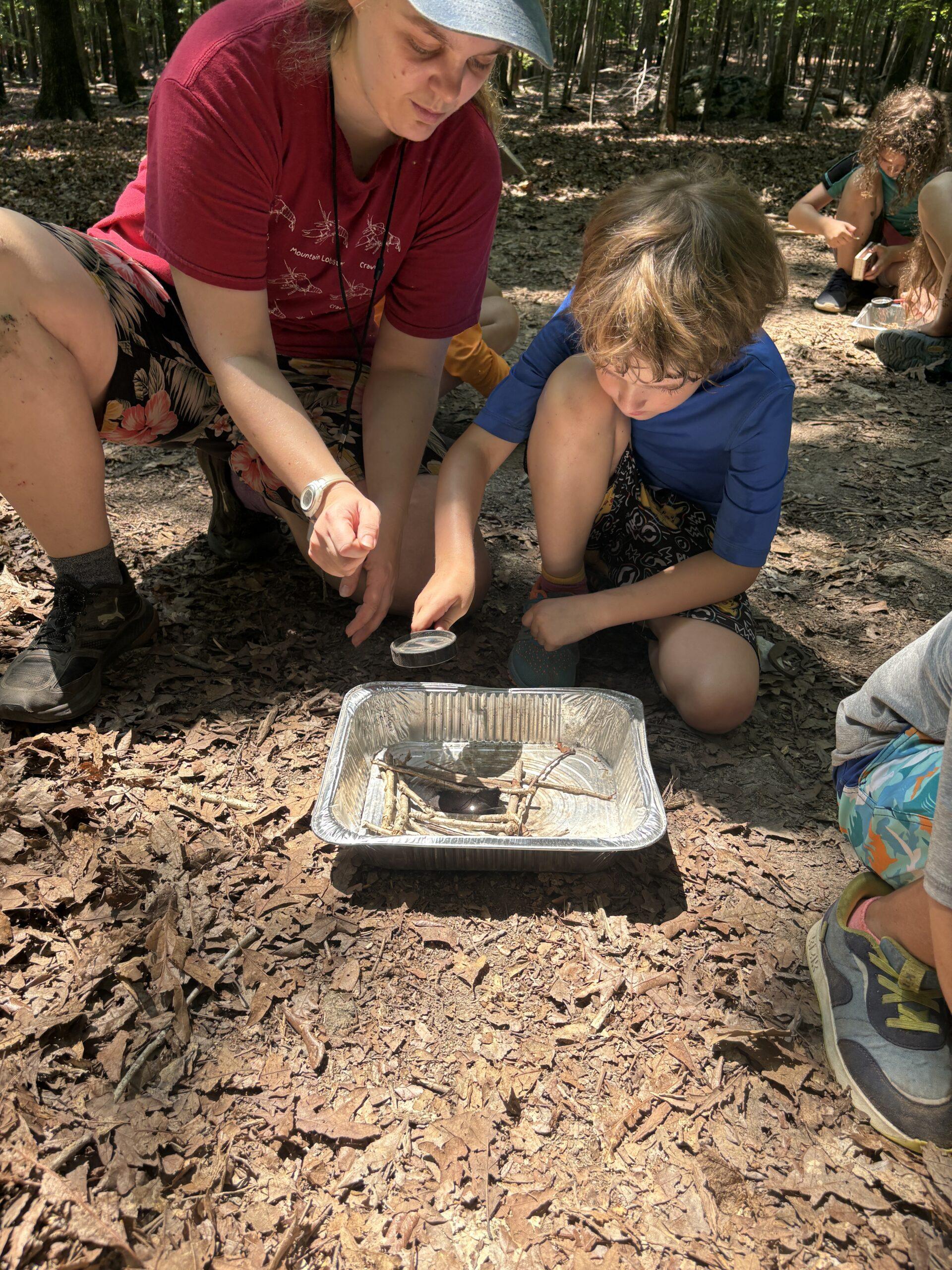 July 6-10: Growth Rings: Learn to Earn