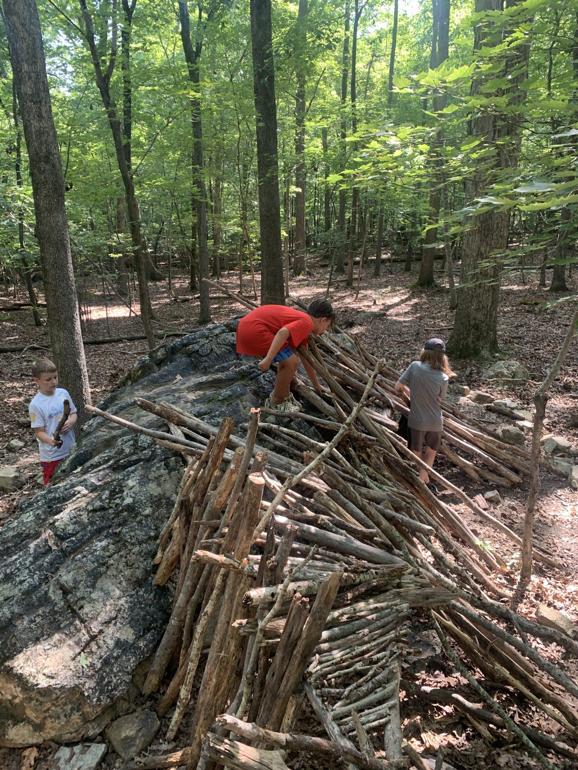 August 17-21: Tools to Survive