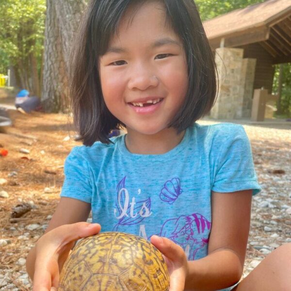 June 22-26: Box Turtle