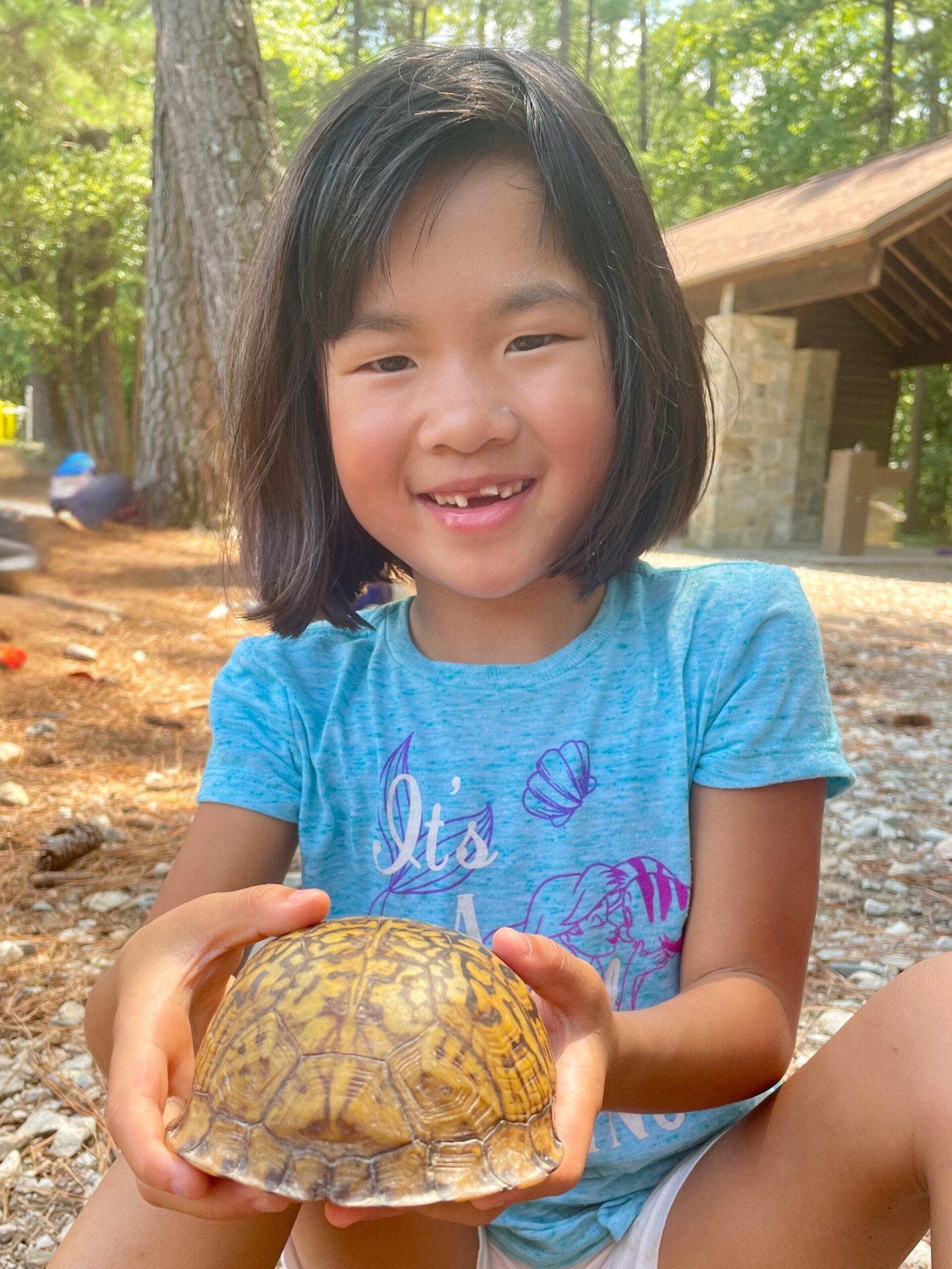 June 22-26: Box Turtle