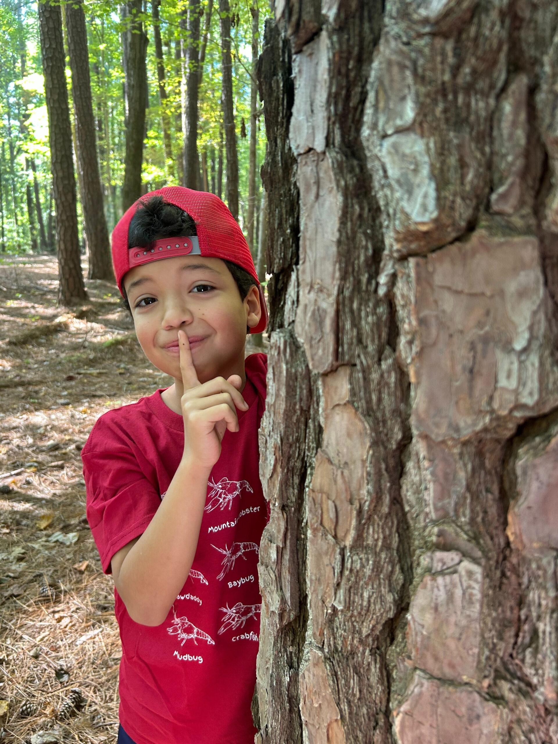 July 13-17: Untold Tales of Umstead