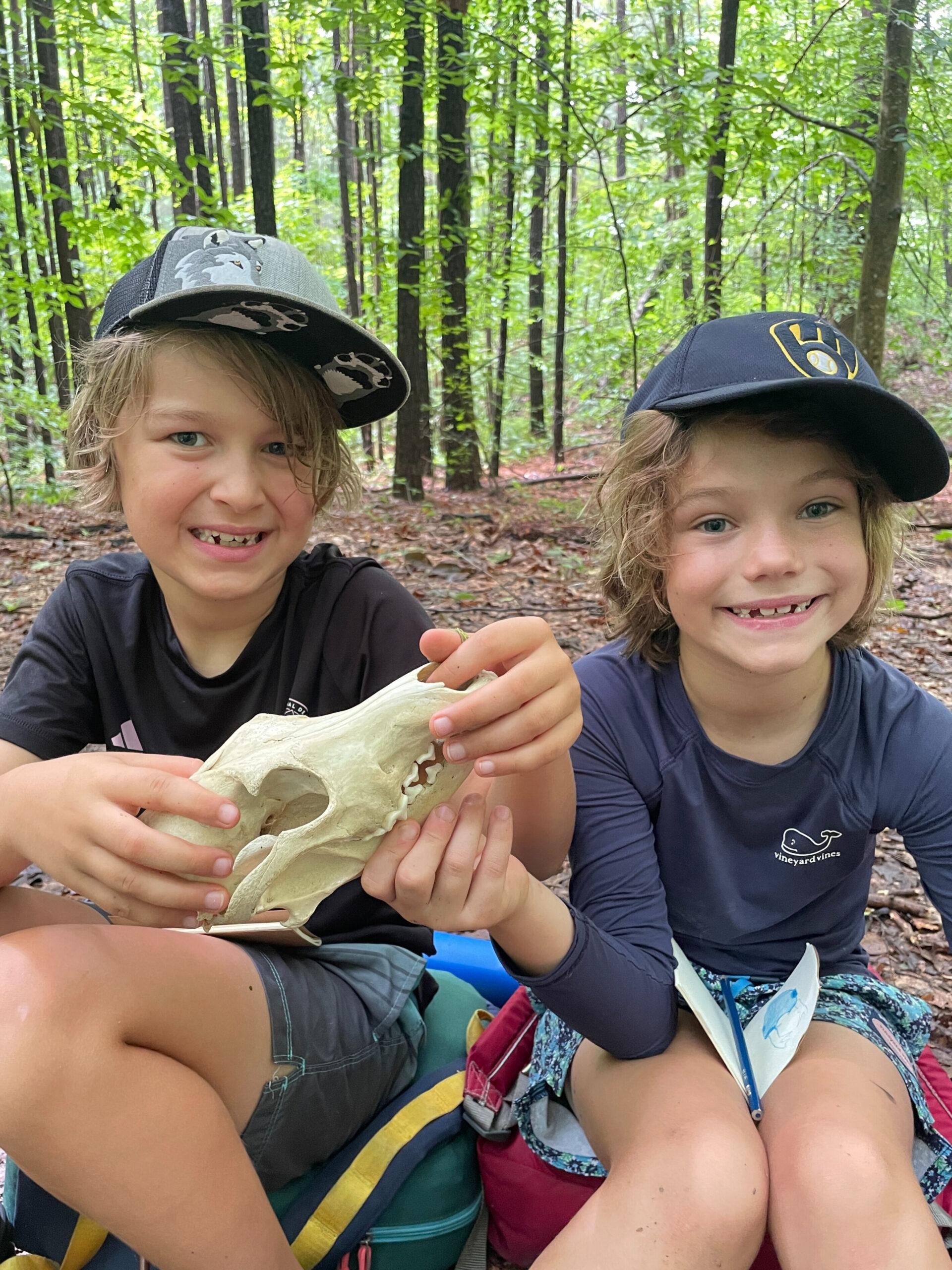 June 15-19: Fascinating Fauna