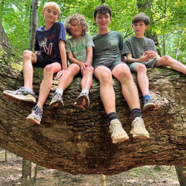 June 8-12: Creation & Exploration