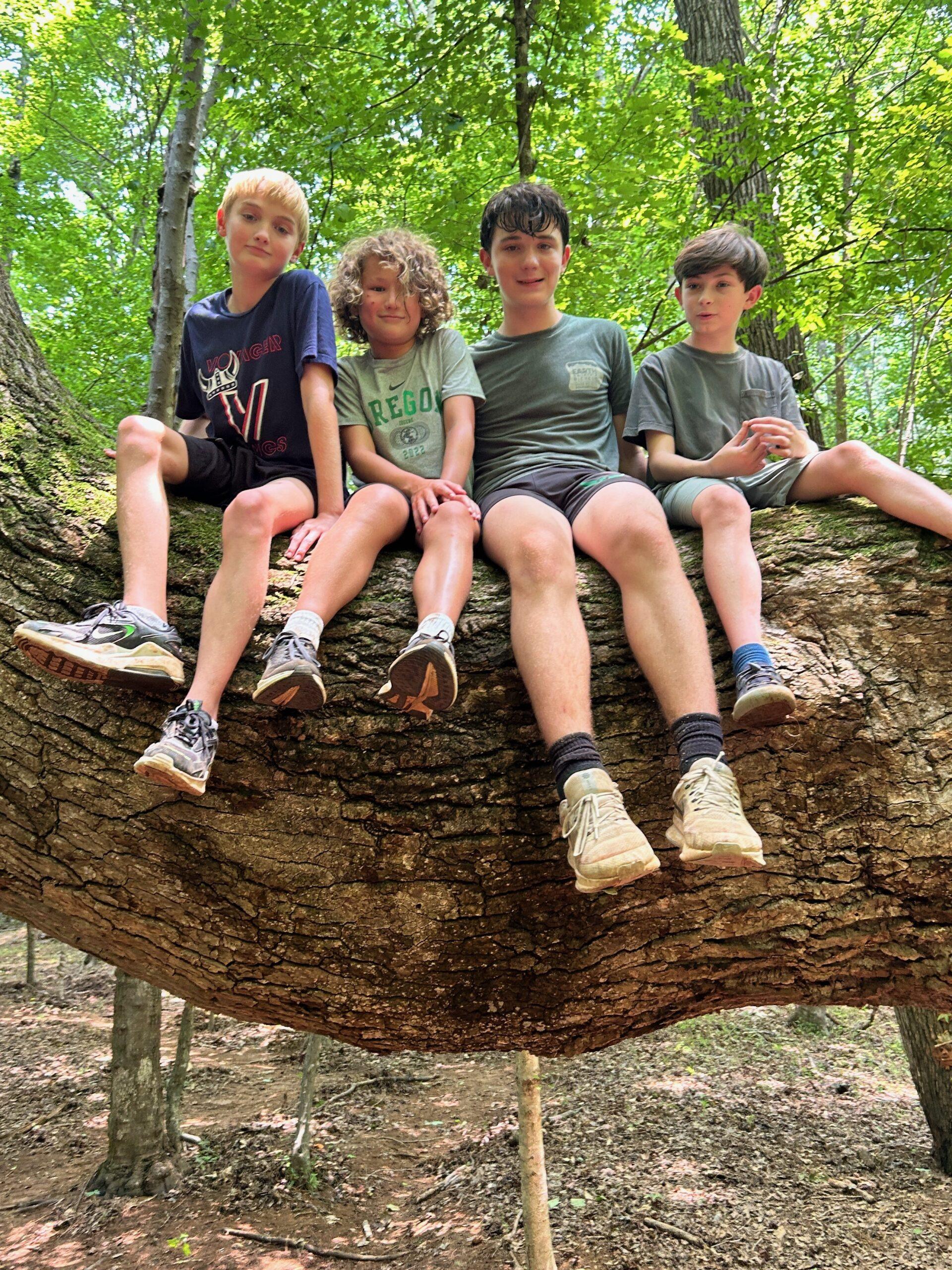 June 8-12: Creation & Exploration