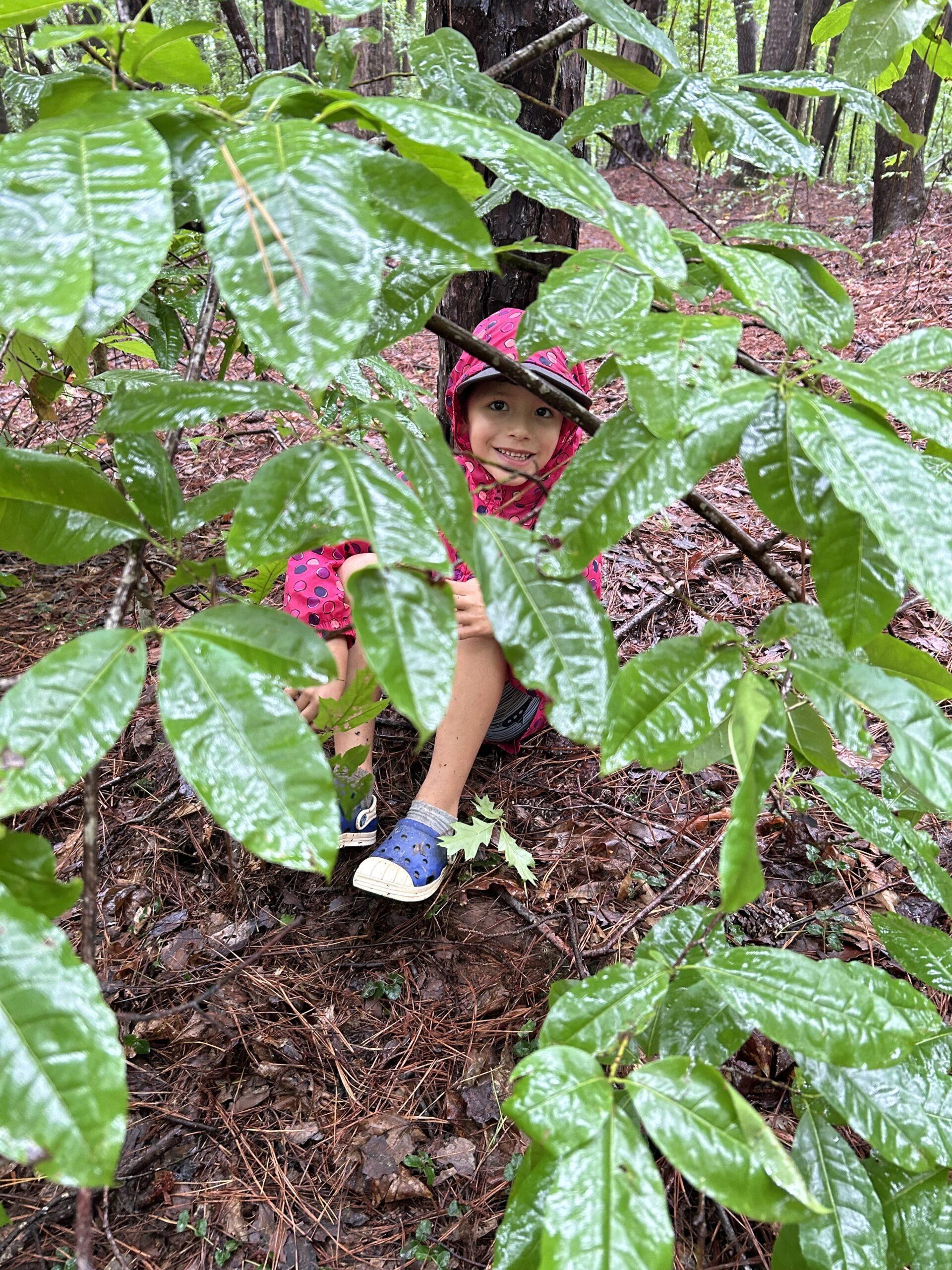 June 29 - July 3: Raccoon