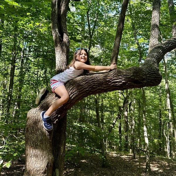 August 10-14: Talent Among The Trees