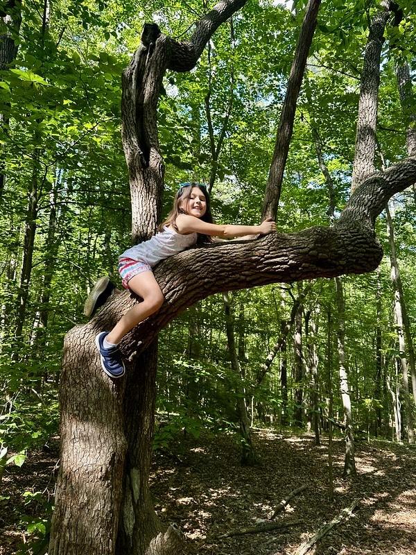 August 10-14: Talent Among The Trees