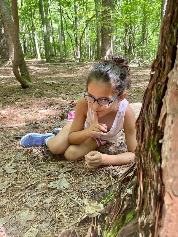 June 15-19: Masters of Camouflage