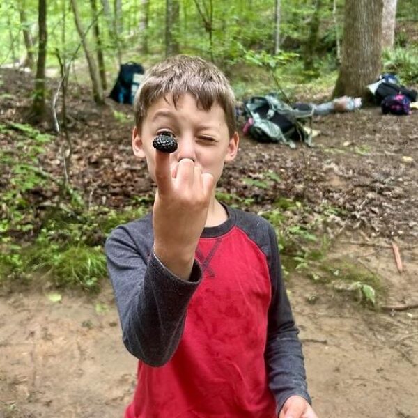 June 15-19: Pinecone