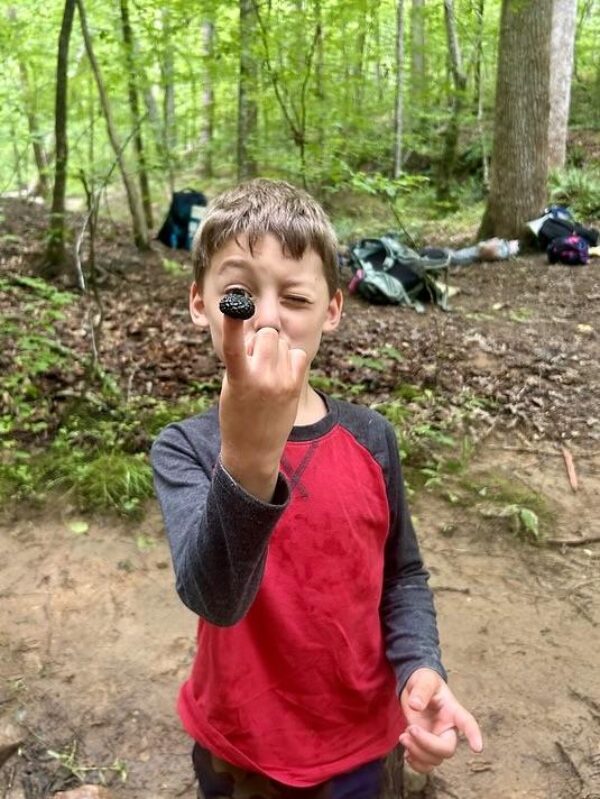 June 15-19: Pinecone