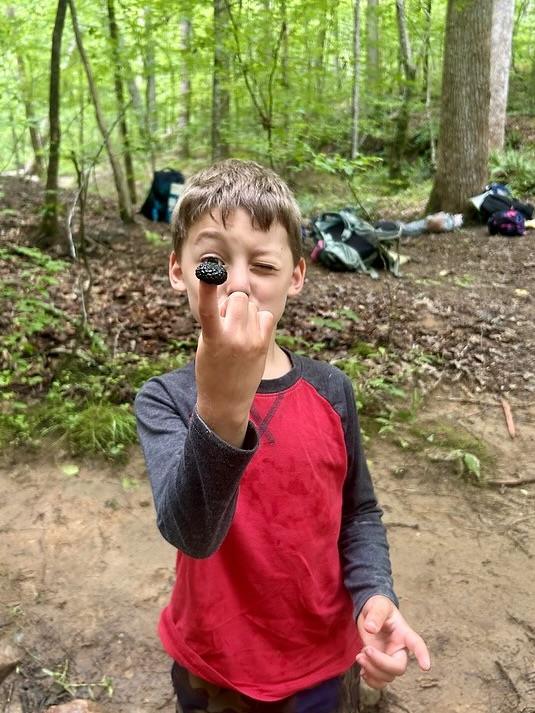 June 15-19: Pinecone