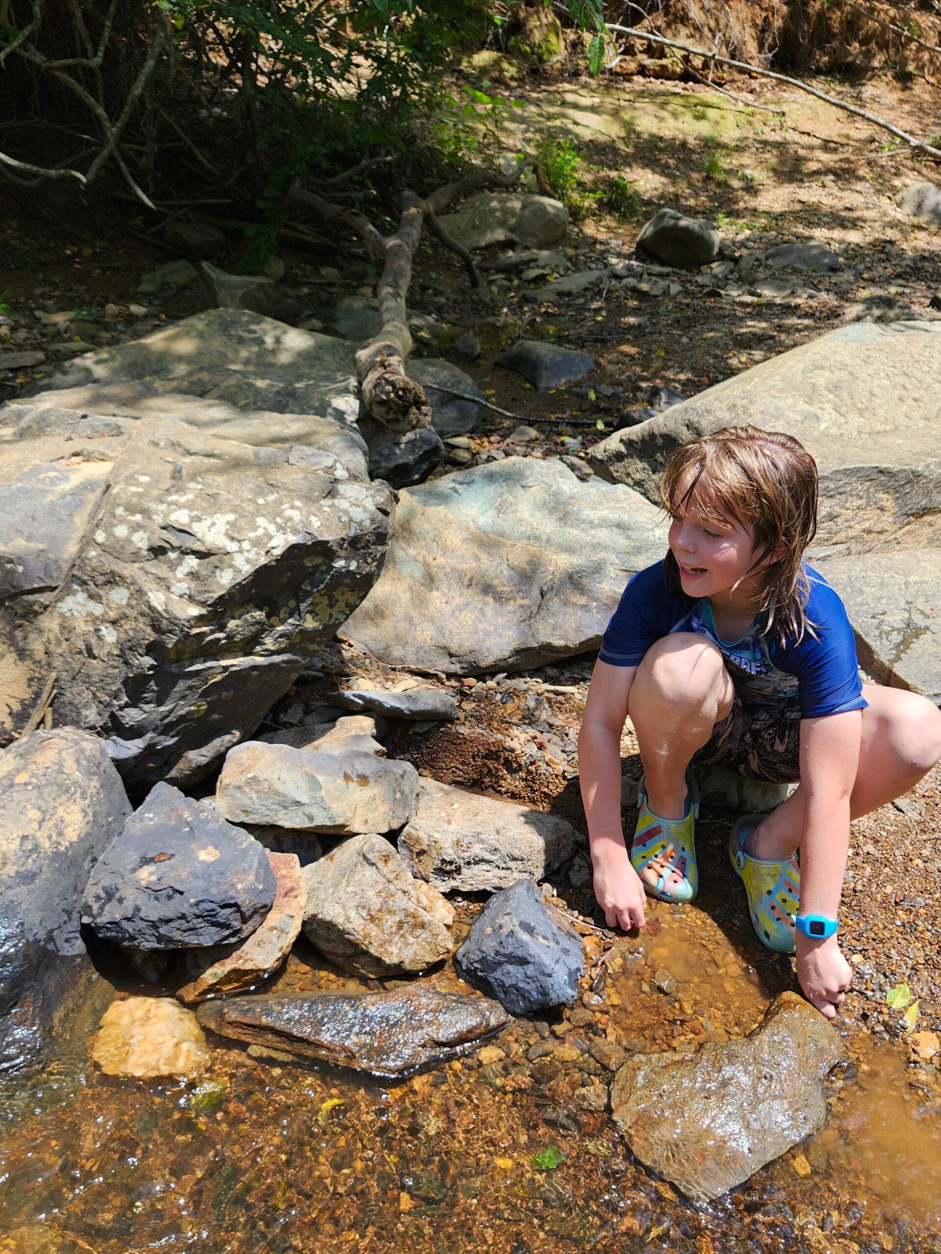 July 6-10: Ways of the Wildlife