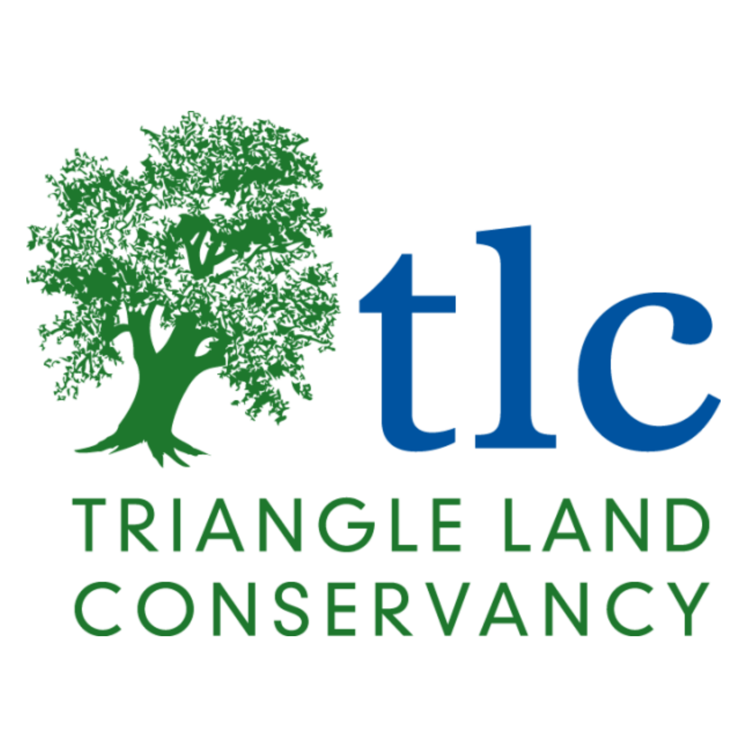 Squared TLC