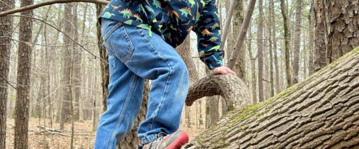 55131965576_f63cfc755e_o