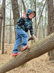 55131965576_f63cfc755e_o