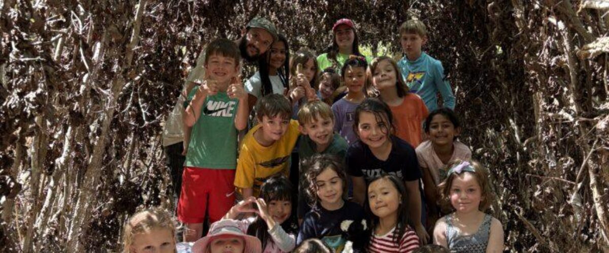 55193217343_41014db6ff_o