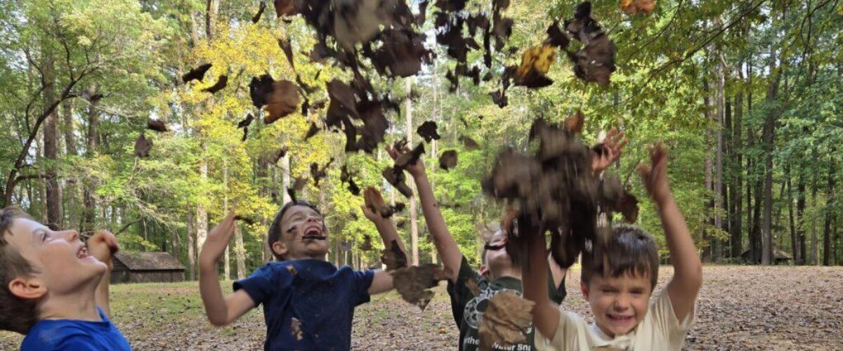 3296809200019224433[Leaves Silly Spring-Fall]