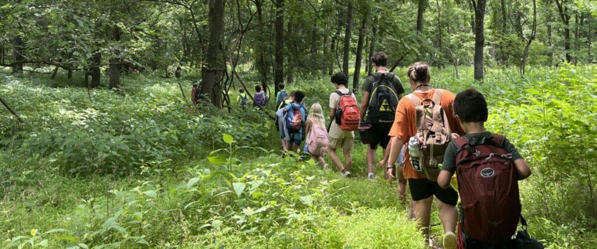 54599313653_e89e0c419d_o[Trail Walking Summer Spring-Fall] 3