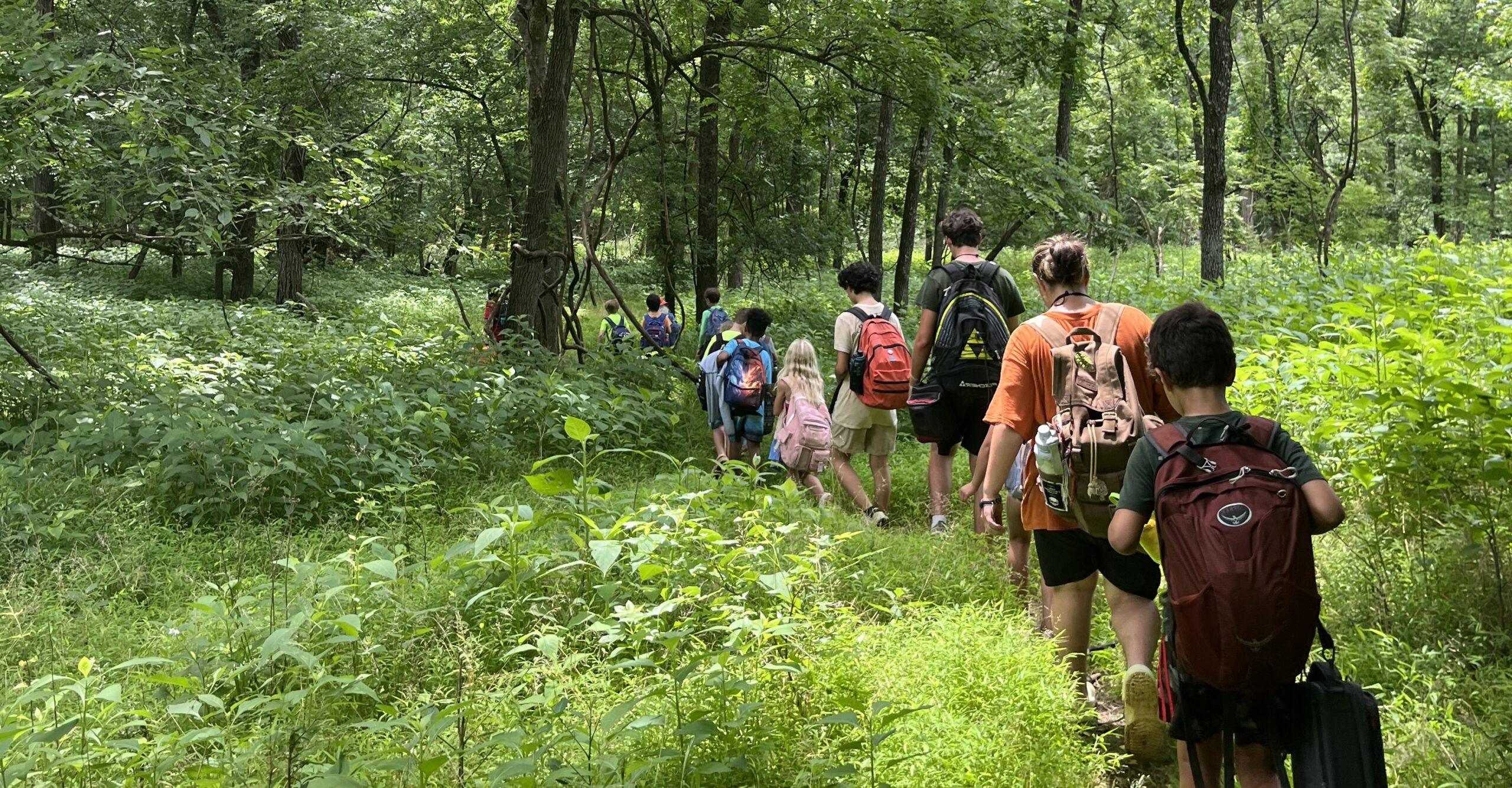 Help Shape What’s Next at Schoolhouse of Wonder — Join a Committee!