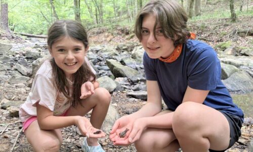 June 8-12: Way of the Water Photo Gallery
