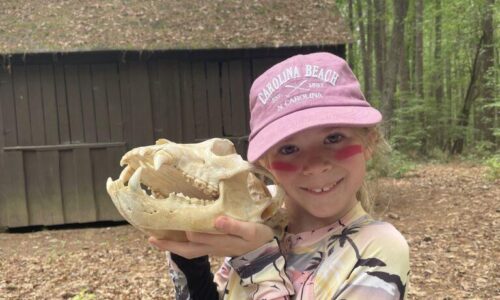 June 15-19: Fascinating Fauna Photo Gallery