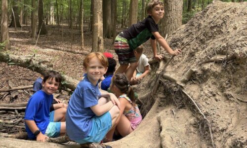 June 15-19: Guardians of the Forest Photo Gallery
