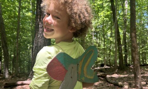June 29-July 3: Dragonfly Photo Gallery 