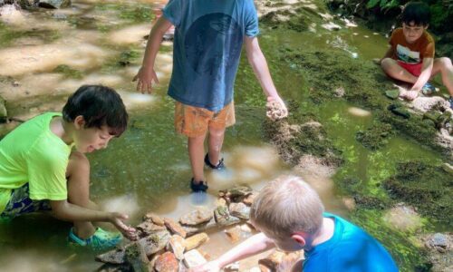 July 6-10: Roly-Poly Photo Gallery 