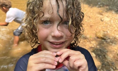 July 13-17: Caterpillar Photo Gallery 